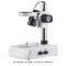 7 - 45x Zoom Lens Stereo Optical Microscope With Up / Bottom 3w Led A23.3645-b2l