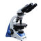 Binocular Head Polarized Light Microscope With Brightness Adjustable CE A15.1302