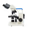 OPTO-EDU A11.0110 BIogical Microscope , Monocular Compound Microscope