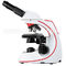 High Contrast Compound Optical Microscope Halogen Illumination Microscopes A12.0810