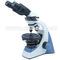 Binocular Head Polarized Light Microscope With Brightness Adjustable CE A15.1302