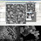 OPTO-EDU 8x~800000x Scanning Electron Microscope Schottky Emission Electron Gun A63.7080 Std FEG SEM
