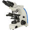 Halogen Lamp Compound Optical Microscope Kohler WF10X A12.2702-B Blue Filter