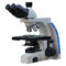 Halogen Lamp Compound Optical Microscope Kohler WF10X A12.2702-B Blue Filter