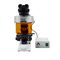 LED Light Fluorescence Microscope OPTO-EDU A16.2603-T2 1000X Trinocular