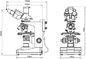 Trinocular Transmitted / Reflected Polarizing Light Microscope A15.0203 Wide Field WF10x / 18mm