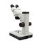1W LED Binocular Stereoscopic Microscope A22.1309 1W 110 - 240V Power Supply