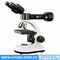 Binocular Trinocular Upright Metallurgical Microscope A13.2603 A13.2605