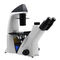 Trinocular Transmit Light Inverted Optical Microscope WF10x/22mm Eyepiece