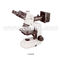 Plan Binocular Halogen Lamp Metallurgical Optical Microscope For Researching
