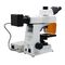 40x - 1000x LED Trinocular Fluorescence Microscope For Research / Learning