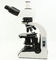 Mineralogy OPTO-EDU A15.0701-T Polarizing Microscope