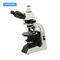 Mineralogy OPTO-EDU A15.0701-T Polarizing Microscope