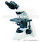 Laboratory Microscope 40X -1000X With CE Biological Microscope A12.0203