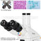 Infinity Laboratory Biological Microscope LED Illumination With CE A12.0205