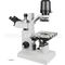 Binocular Head 640X Inverted Optical Microscope A14.0301 With 12V 50W Halogen Lamp