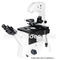 Infinity Objective Inverted Optical Microscope Phase Contrast Microscope  Bright Field A14.0203
