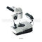 10x - 80x Binocular Jewelry Microscope Zoom Ratio 1 / 4  A24.0401
