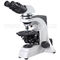 40x - 600x Polarizing Light Microscope , Infinity Corrected Optical System A15.0901
