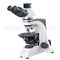 40x - 600x Polarizing Light Microscope , Infinity Corrected Optical System A15.0901