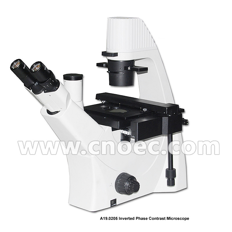 Trinocular LWD Objective Bright Field Inverted Phase Contrast ...