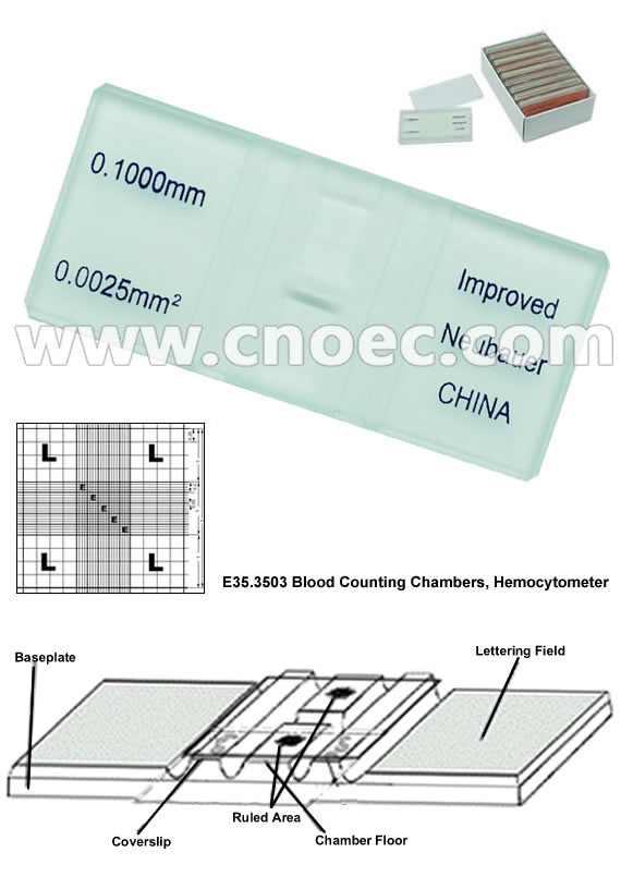 Hemocytometer Microscope Accessories E35.3503 , Blood Counting Chambers